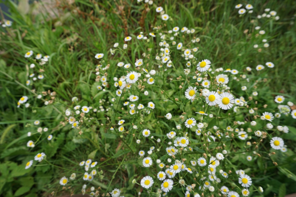 Reflecting on #happyarvedays