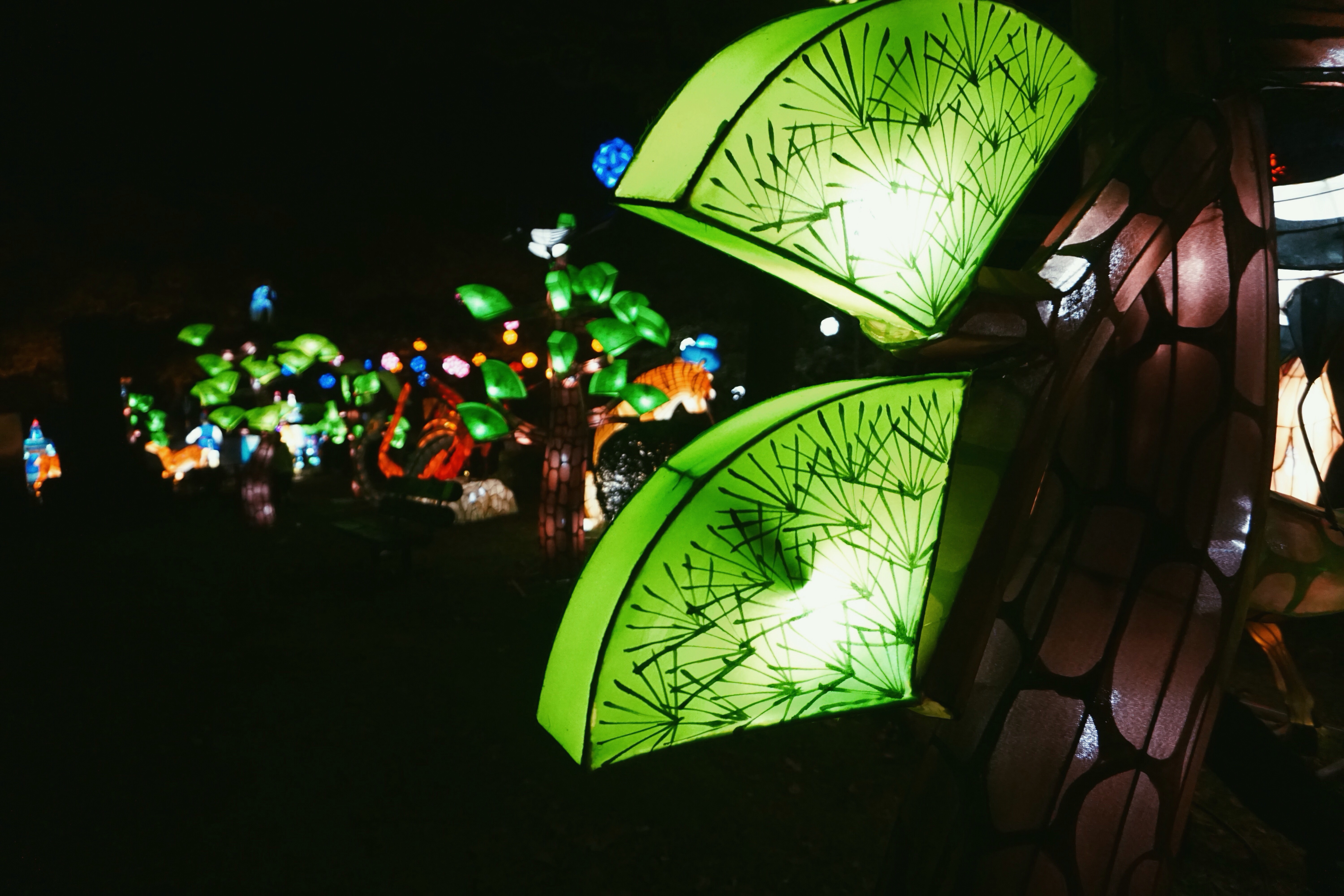 Processed with VSCO with p5 preset