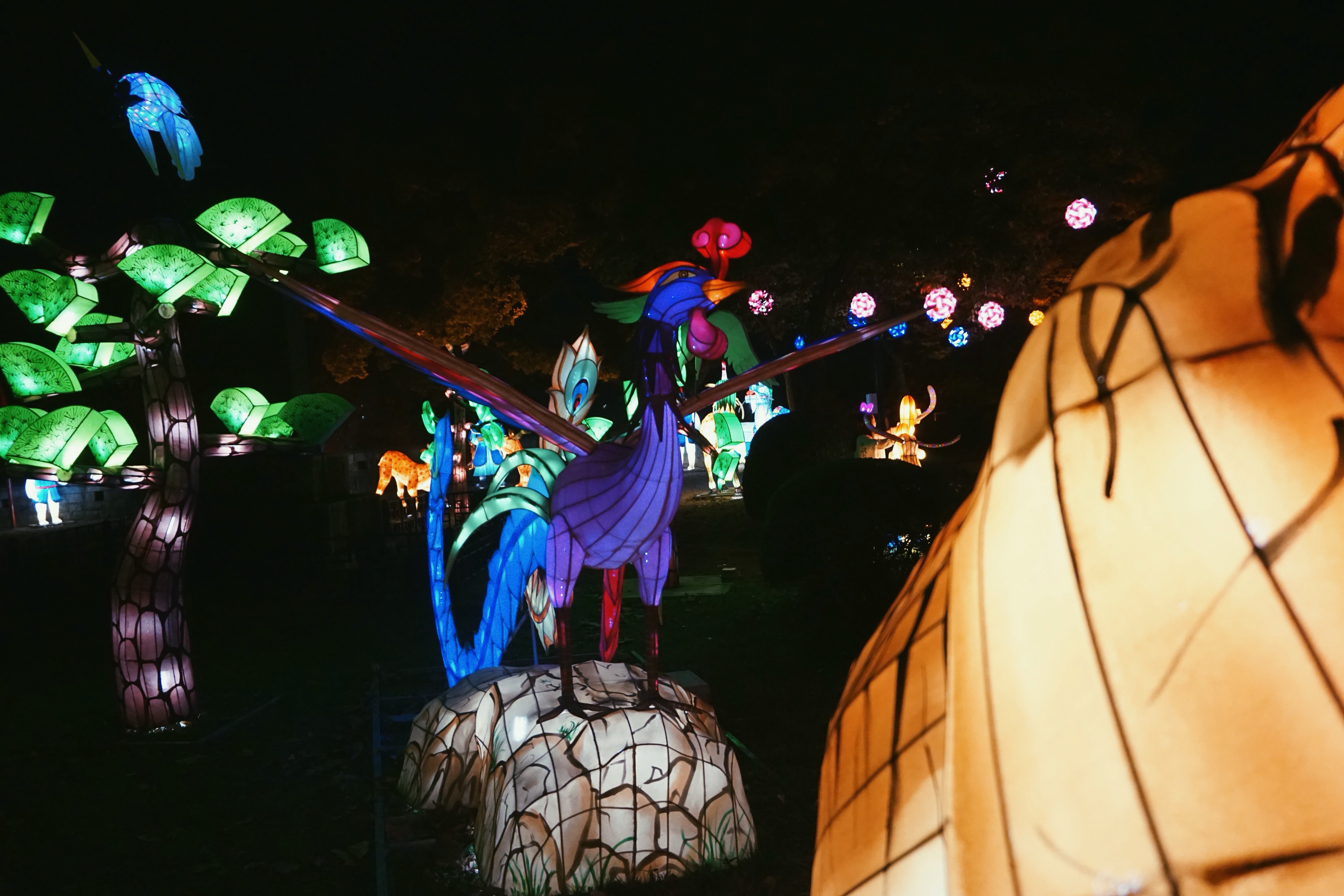 Processed with VSCO with p5 preset